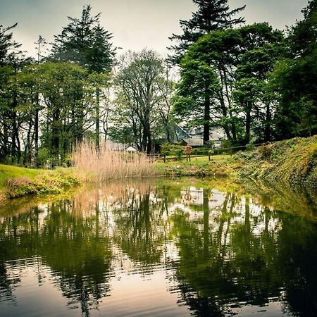 Gellifawr Woodland Retreat Hotel Pontfaen Exterior foto