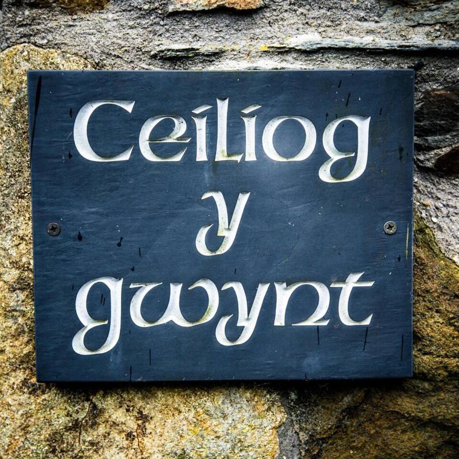 Gellifawr Woodland Retreat Hotel Pontfaen Exterior foto